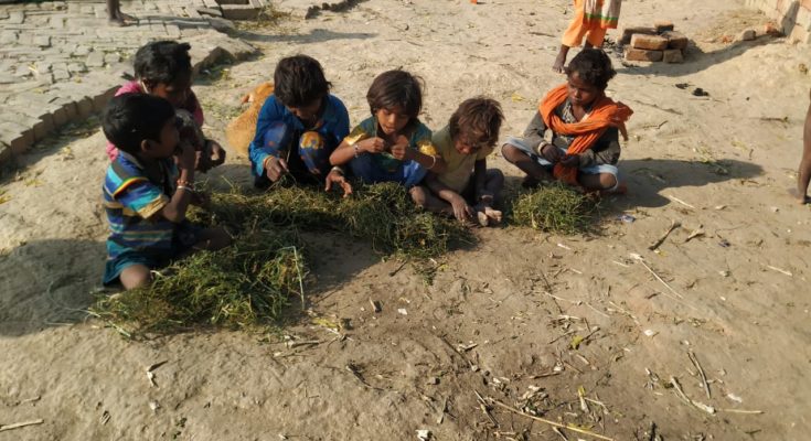 Musahars of Koiripur, Varanasi eating wild grass during lockdown