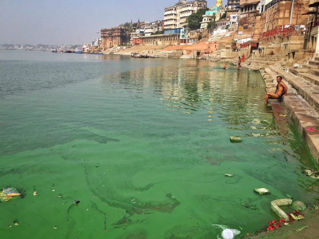 Fungus on Ganga water in Varanasi 