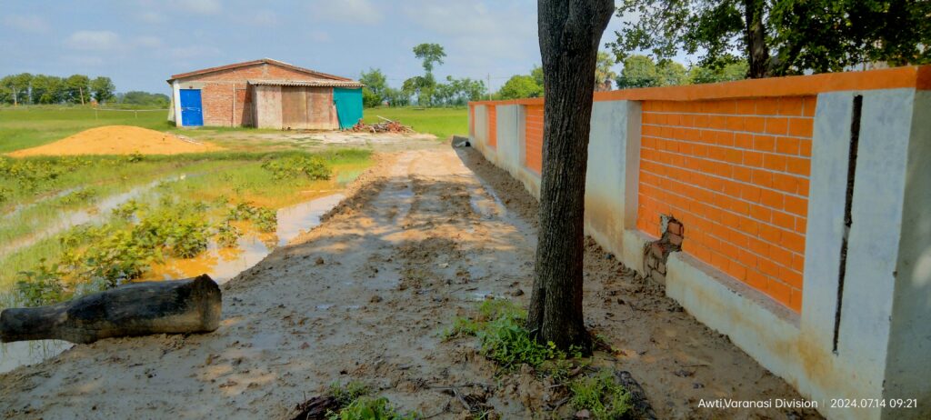 Road that led to brawl and murder