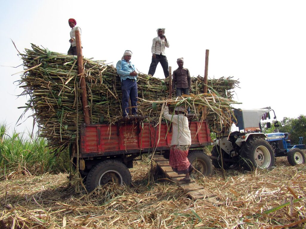 Migrant farm labourers of Maharashtra, Courtesy PARI