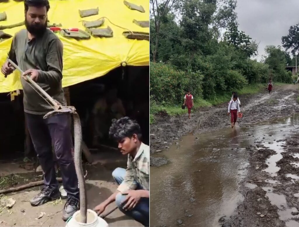 The snake that bit Mitthulal and village road leading to his house
