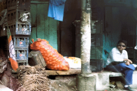 BJP, Bengal and Gen Z still in a single frame