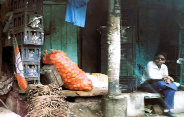 BJP, Bengal and Gen Z still in a single frame