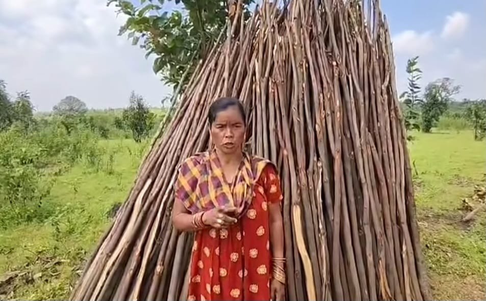 Narangi Dei Majhi, an activist of anti-mining movement 
